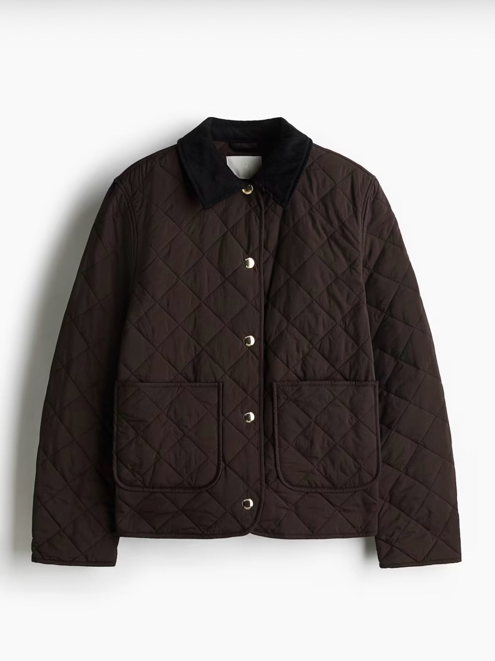 H&M Quilted Jacket with Corduroy Collar (NWT)